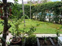 Upper Changi Road (D16), Terrace #455473081